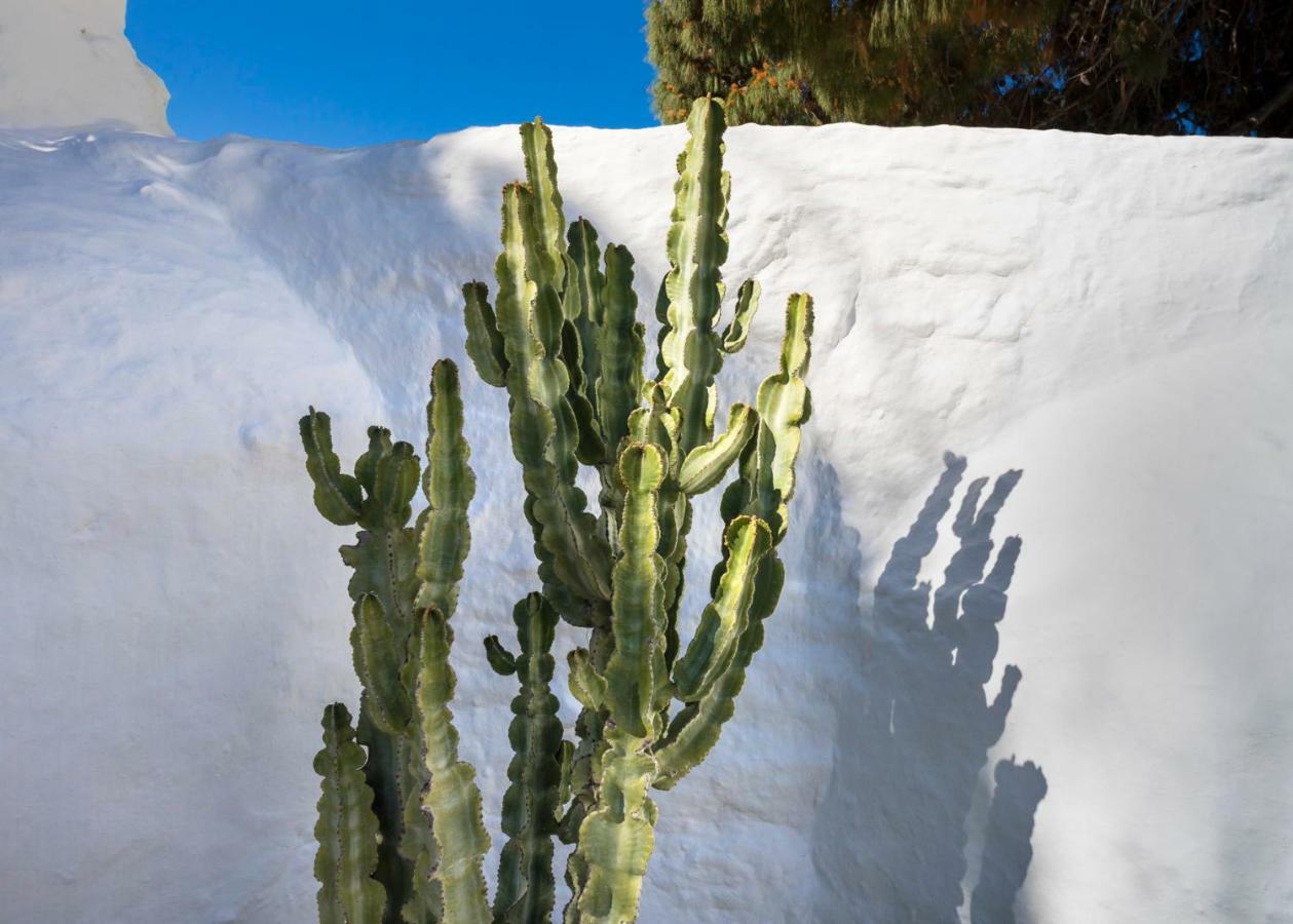 23 Hotel Mykonos Mykonos Town Eksteriør billede